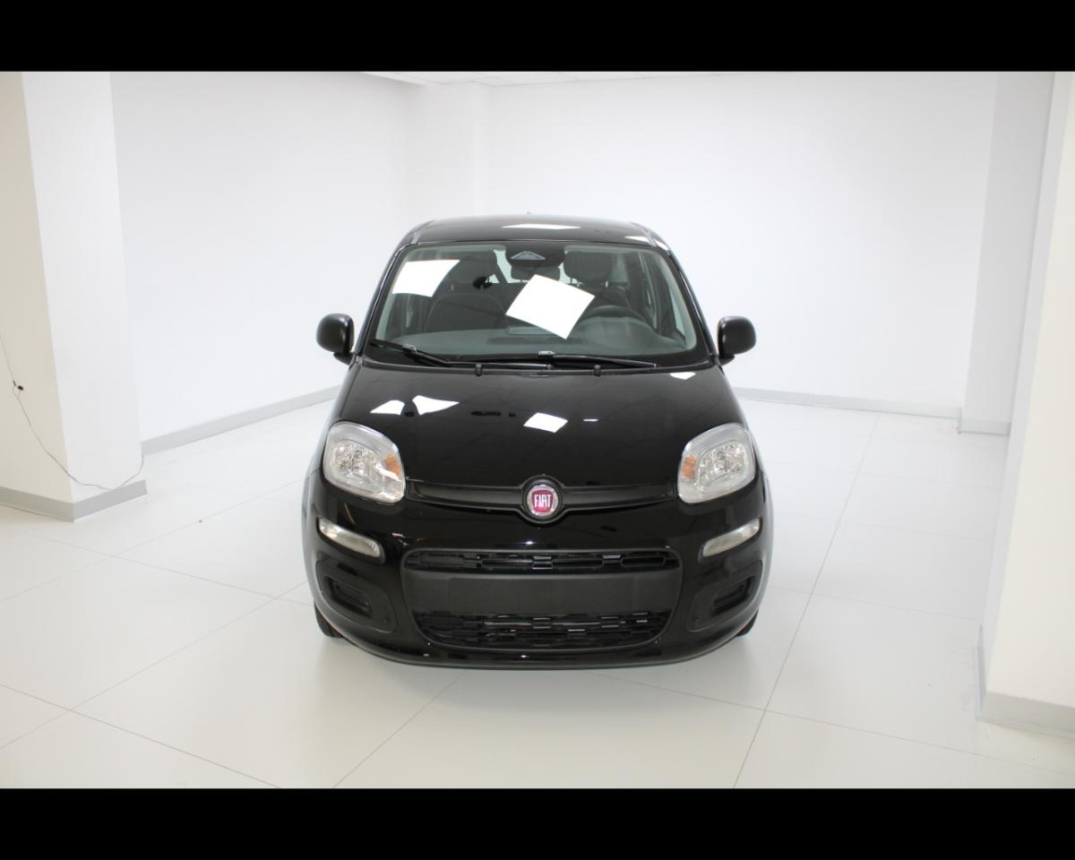 Fiat Fiat Panda usata 11