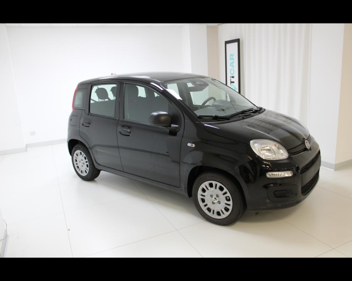 Fiat Fiat Panda usata 14