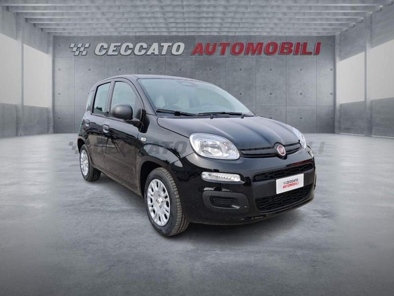 Fiat Fiat Panda usata 7