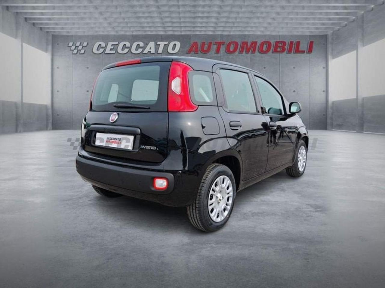Fiat Fiat Panda usata 8