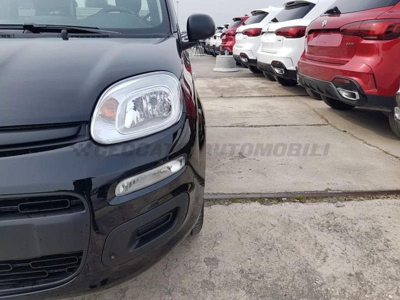 Fiat Fiat Panda usata 9