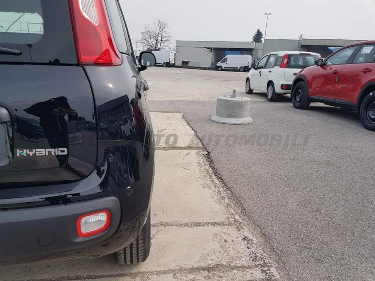 Fiat Fiat Panda usata 10