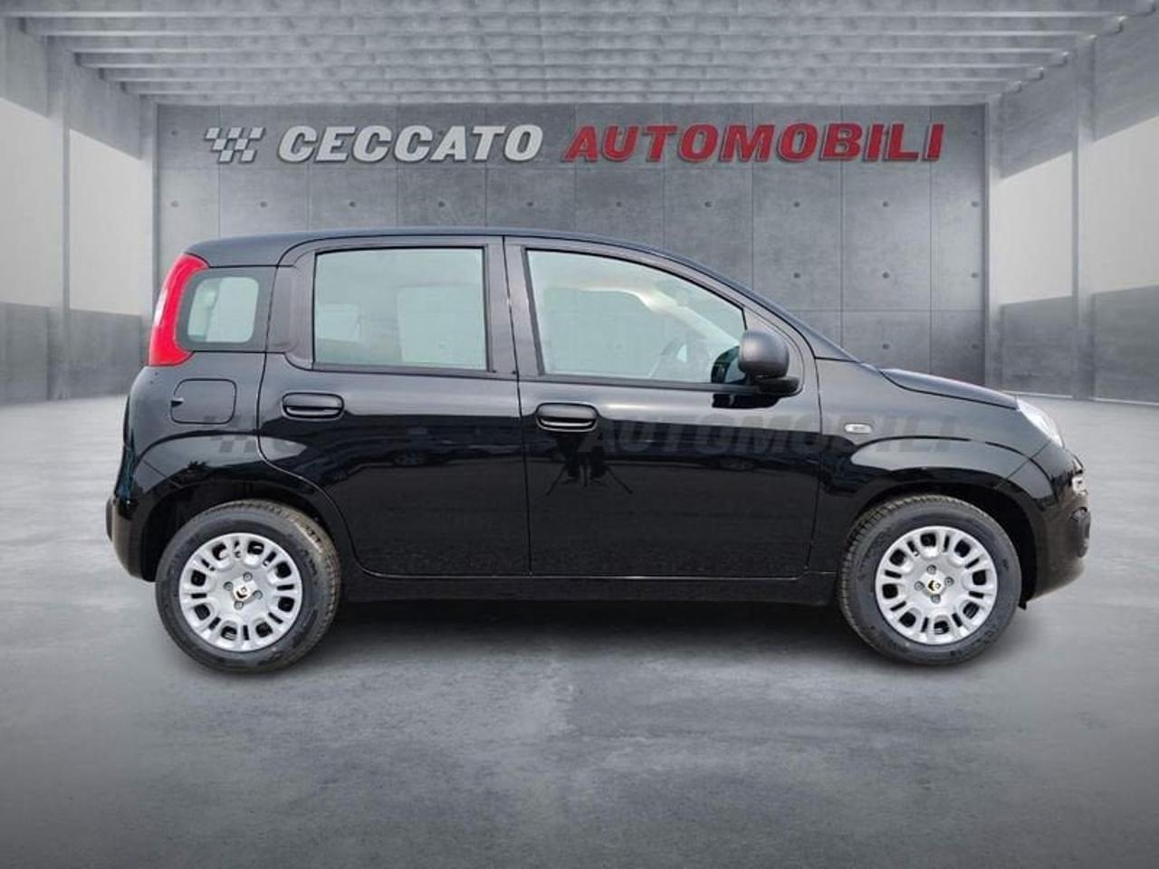 Fiat Fiat Panda usata 11