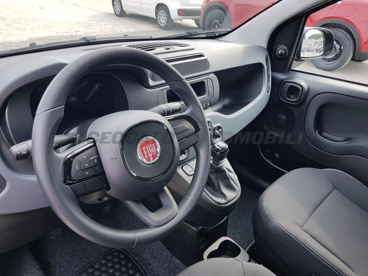 Fiat Fiat Panda usata 12