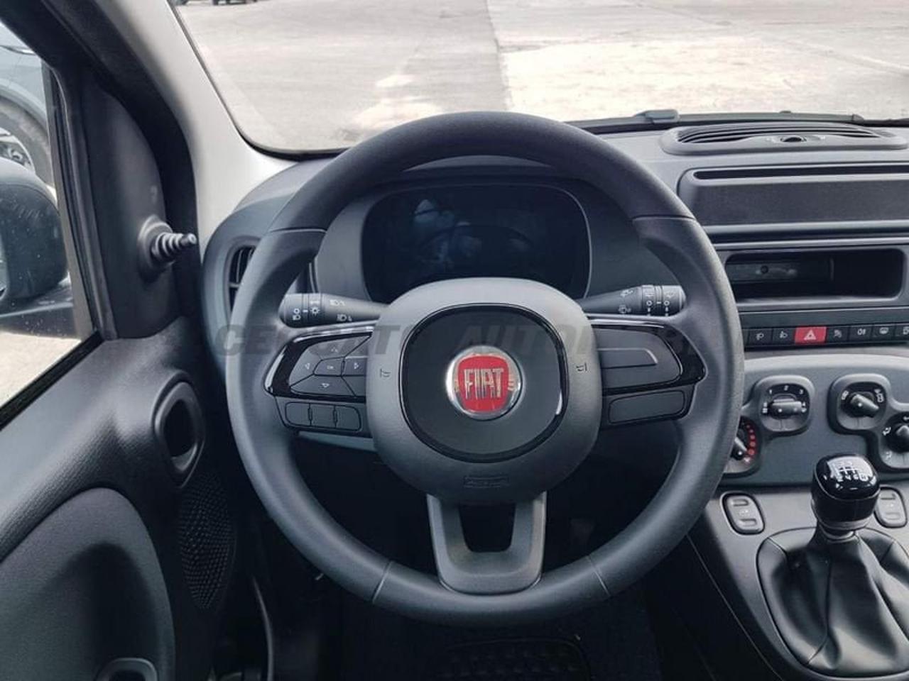Fiat Fiat Panda usata 13