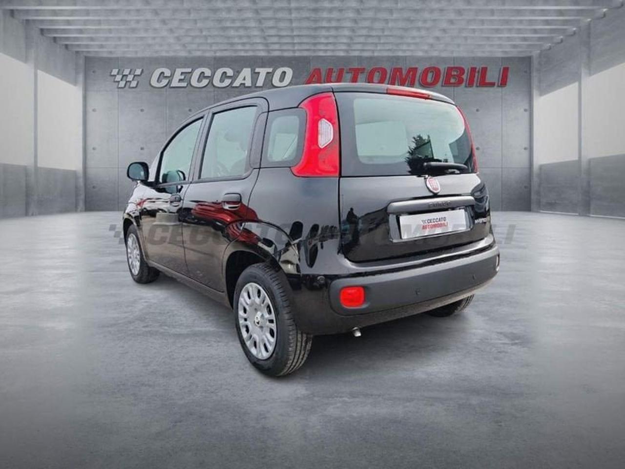 Fiat Fiat Panda usata 16