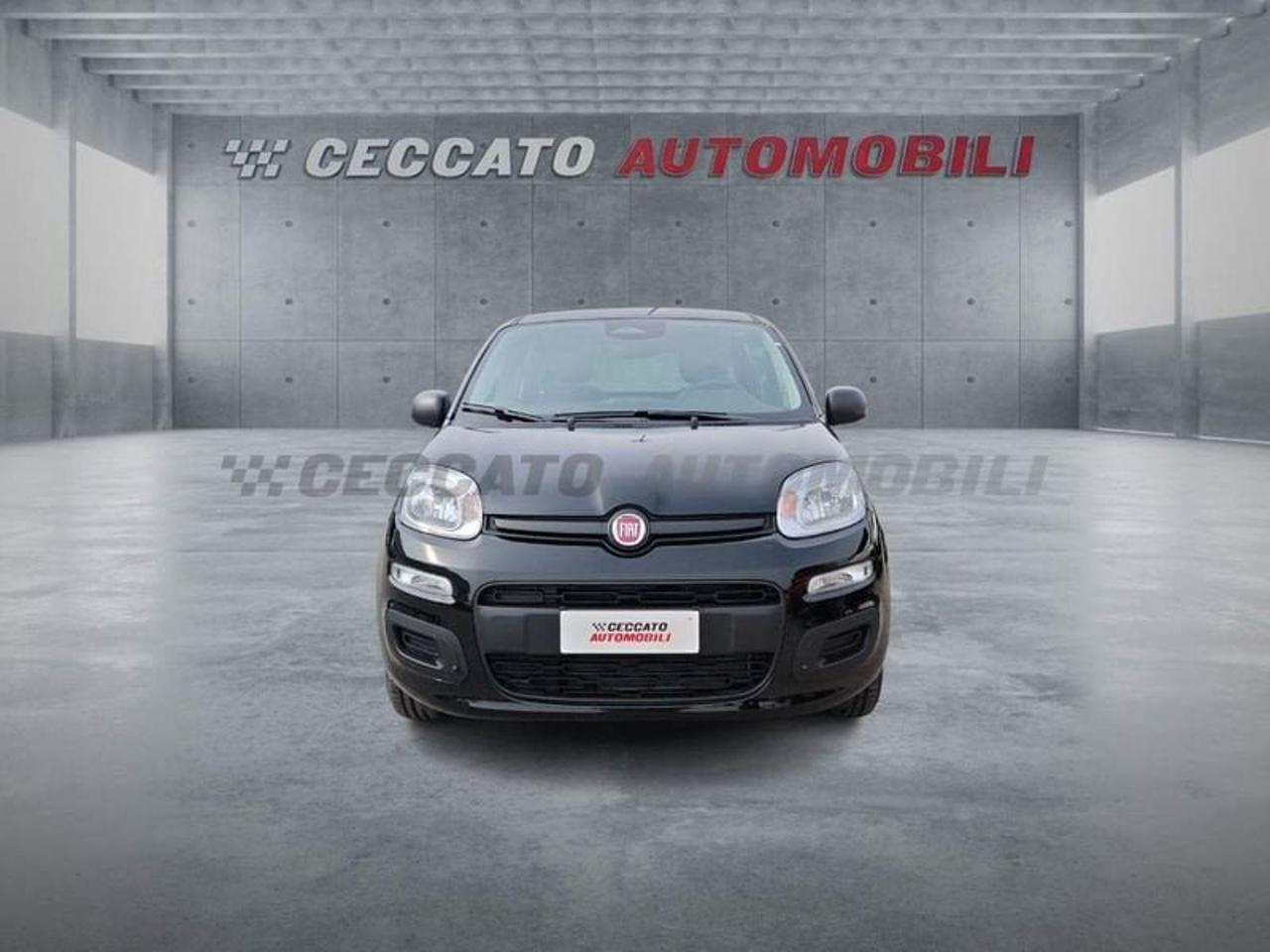 Fiat Fiat Panda usata 17