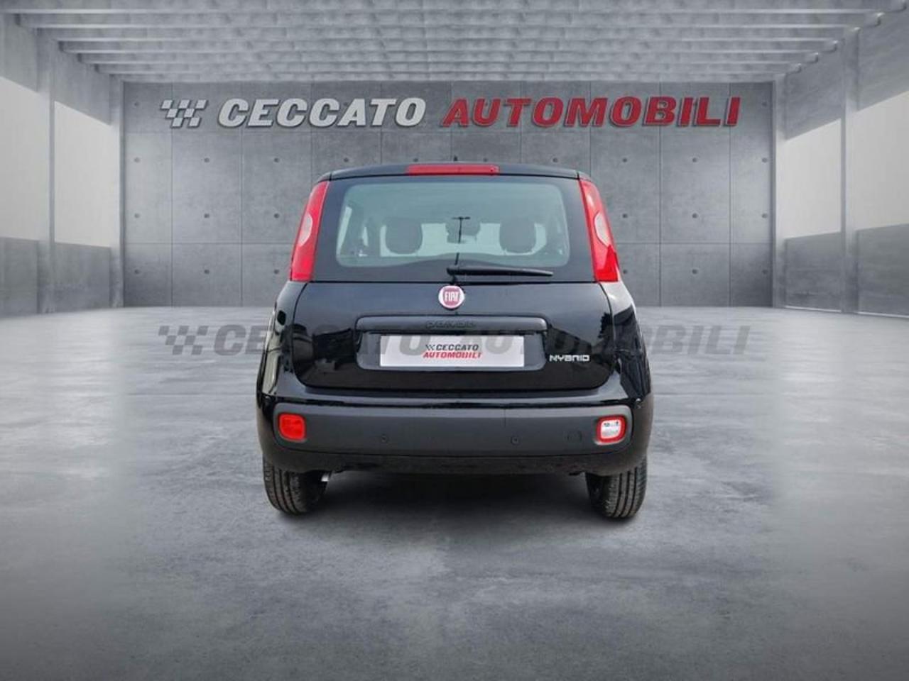 Fiat Fiat Panda usata 18