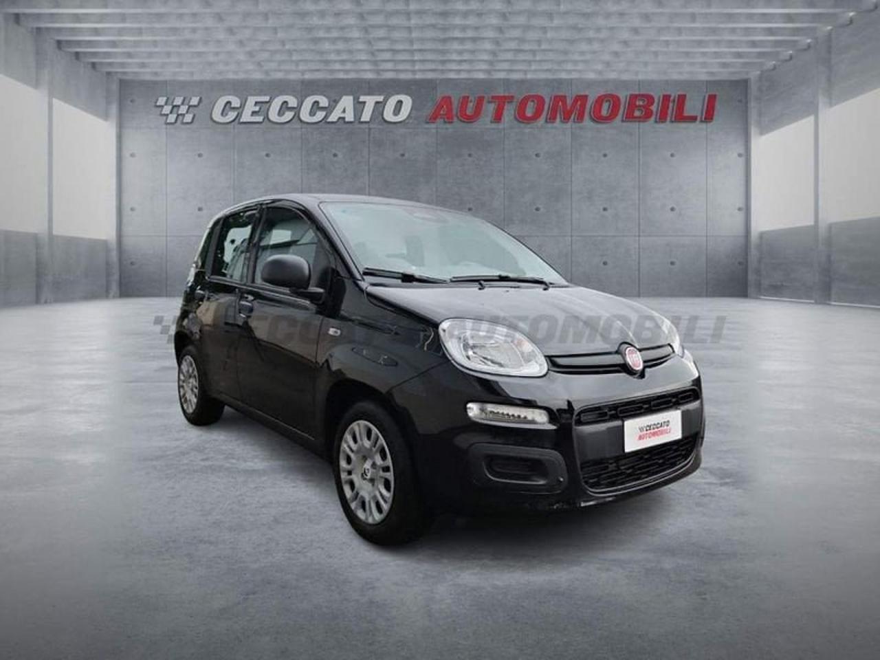 Fiat Fiat Panda usata 7
