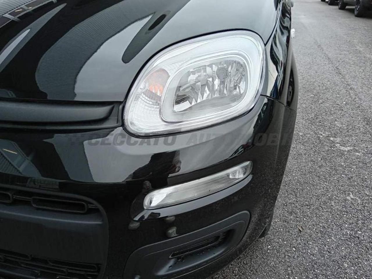 Fiat Fiat Panda usata 9