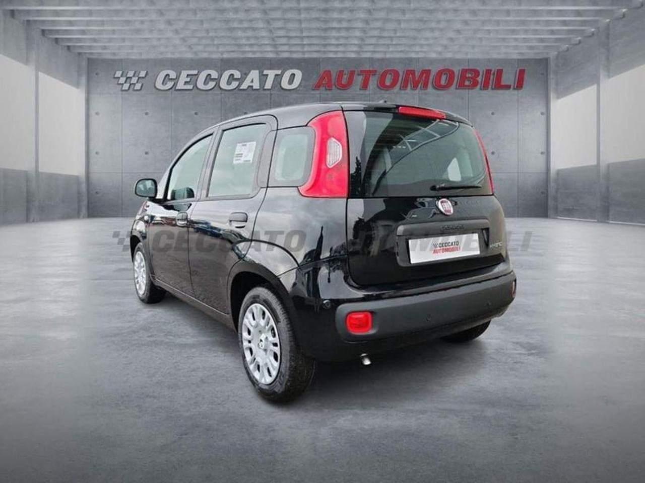 Fiat Fiat Panda usata 17