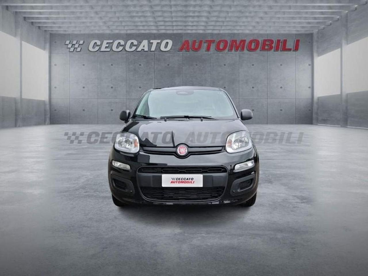 Fiat Fiat Panda usata 18
