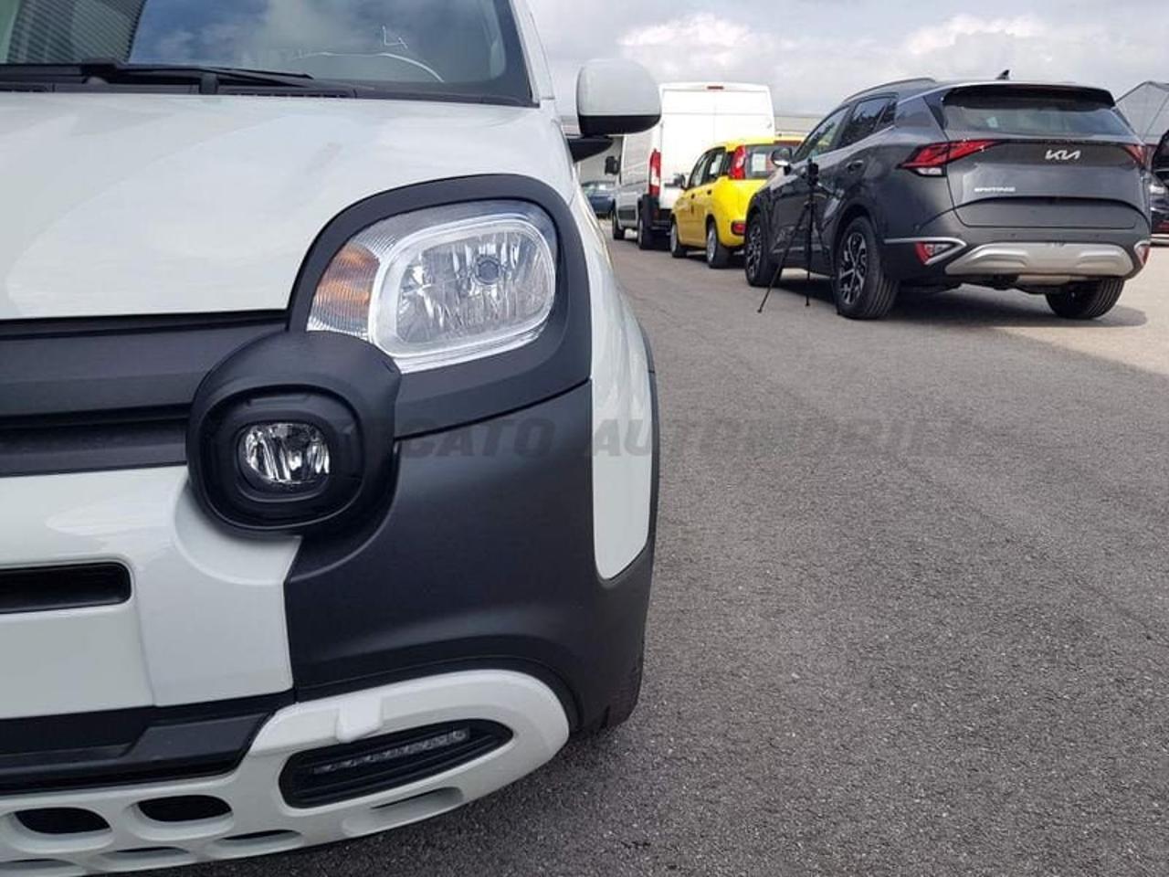 Fiat Fiat Panda usata 9