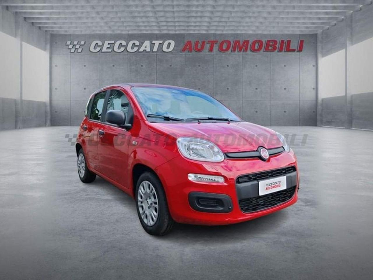 Fiat Fiat Panda usata 7
