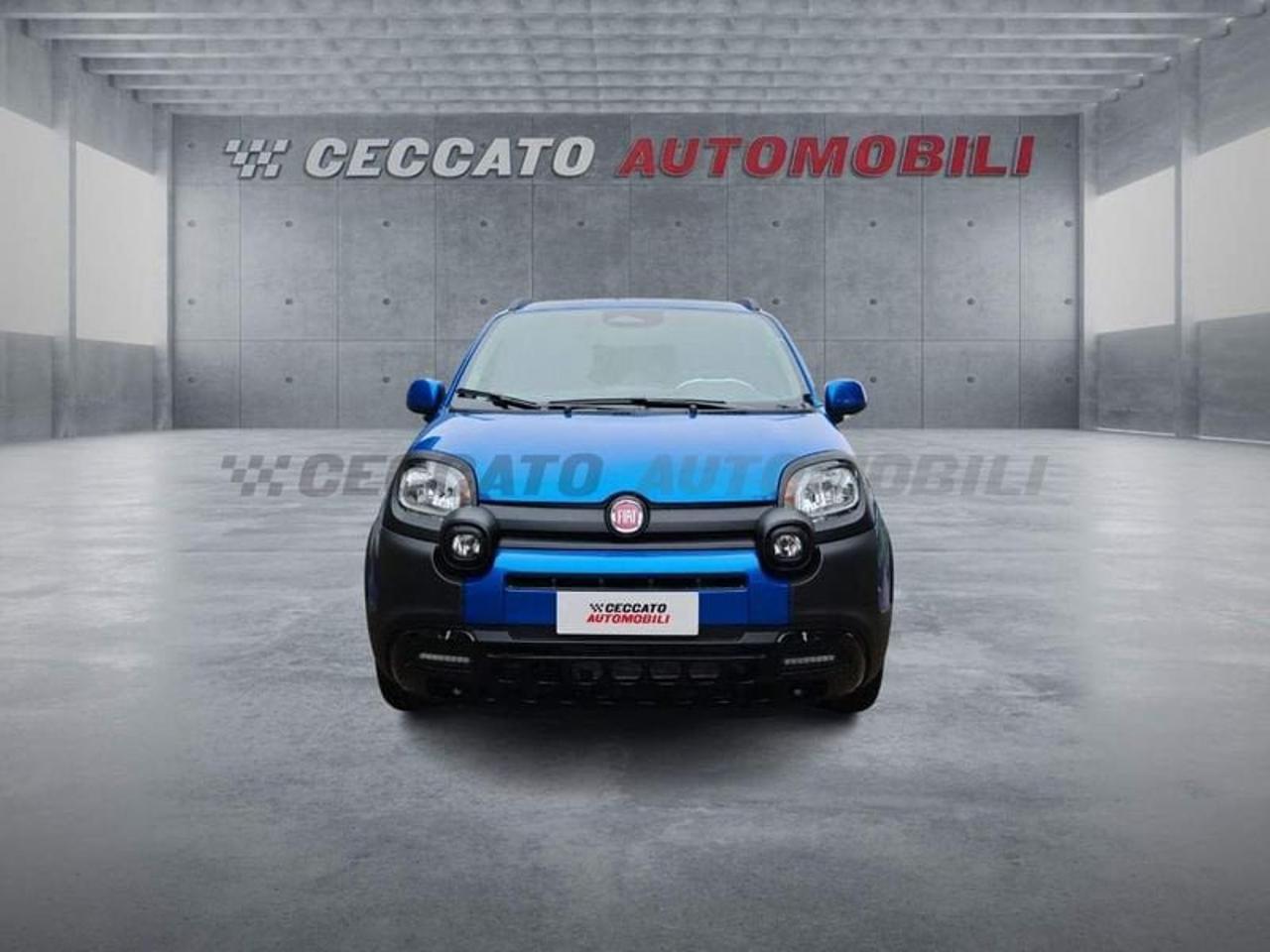 Fiat Fiat Panda usata 11
