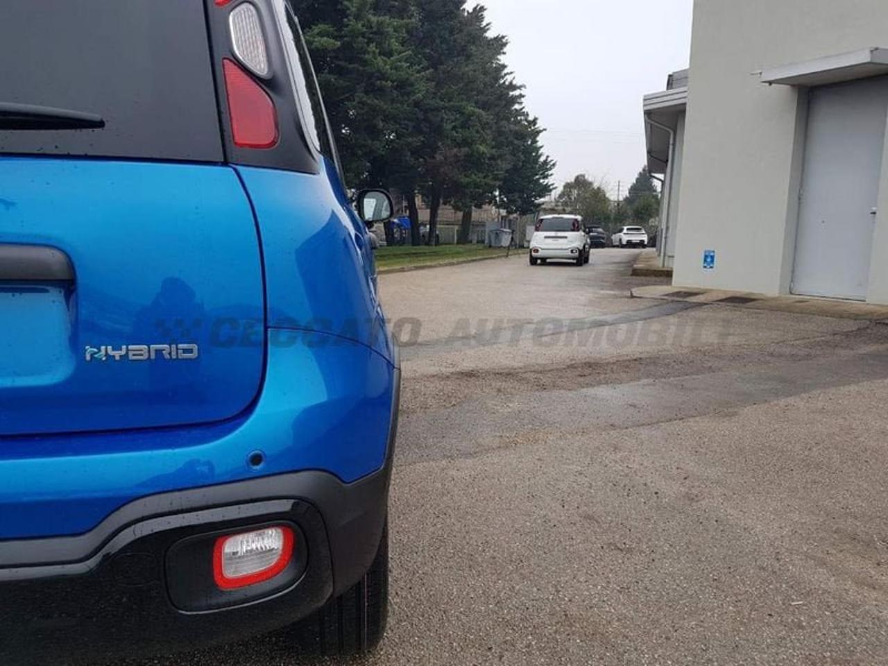Fiat Fiat Panda usata 21