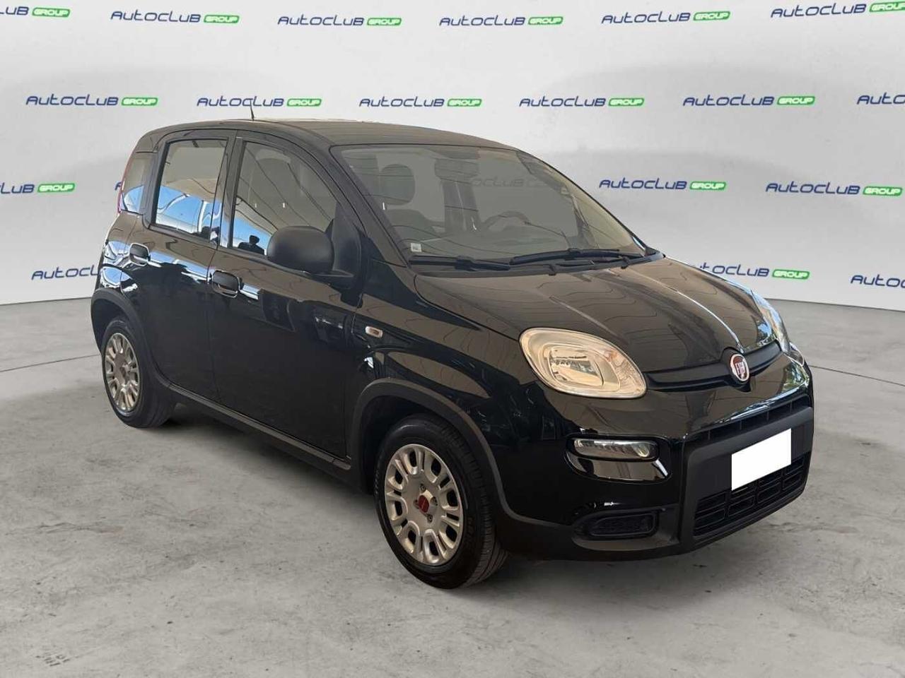Fiat Fiat Panda usata 17