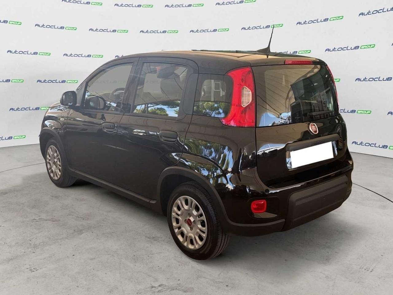 Fiat Fiat Panda usata 20