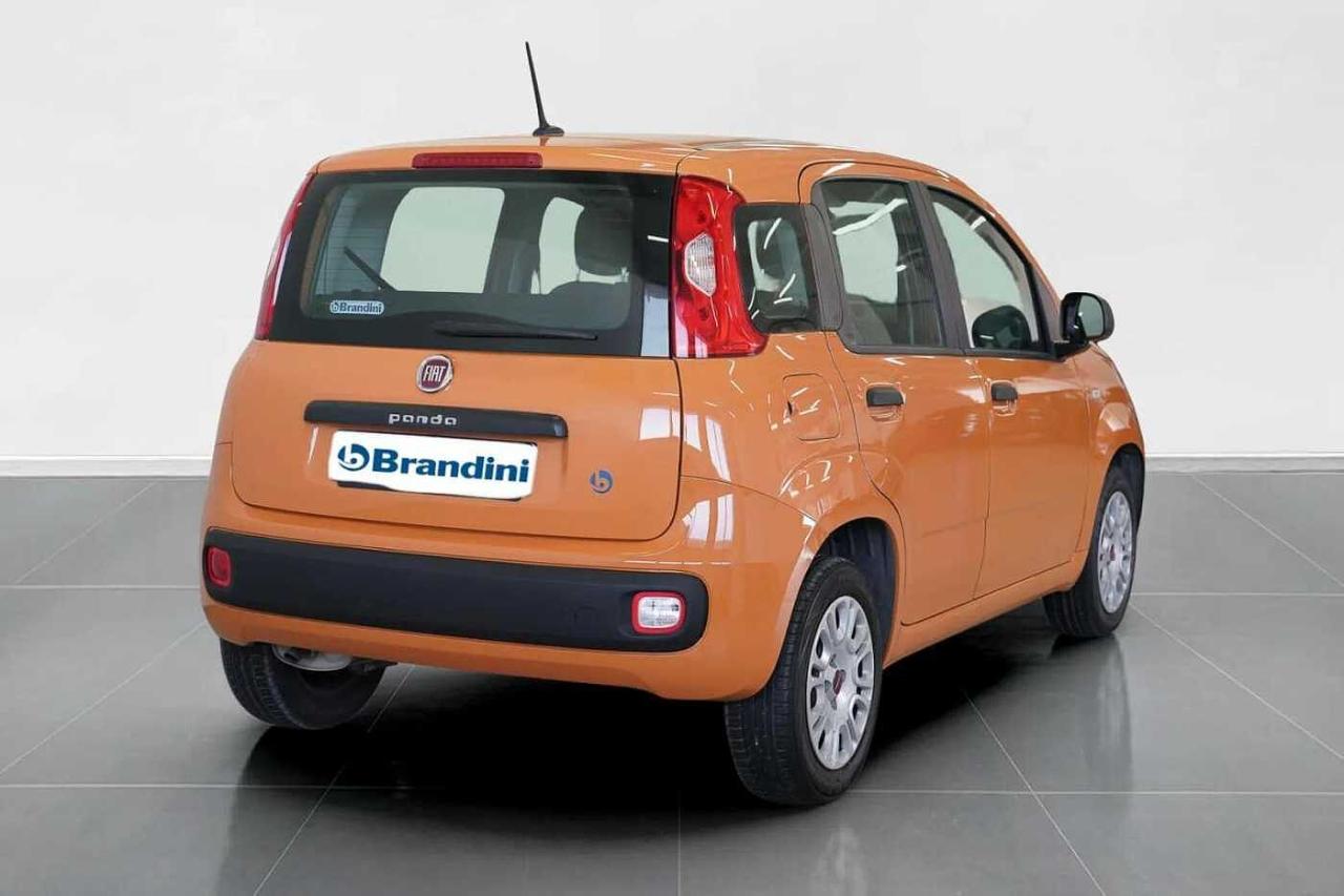 Fiat Fiat Panda usata 17