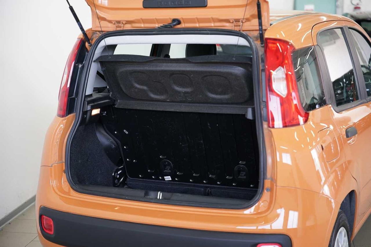 Fiat Fiat Panda usata 18