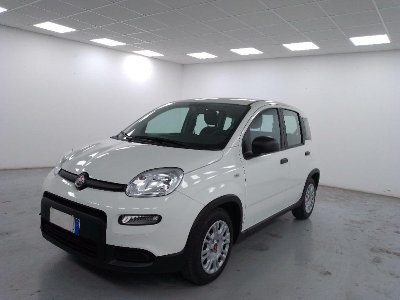 fiat panda panda 1.0 firefly hybrid s and s 70cv usata