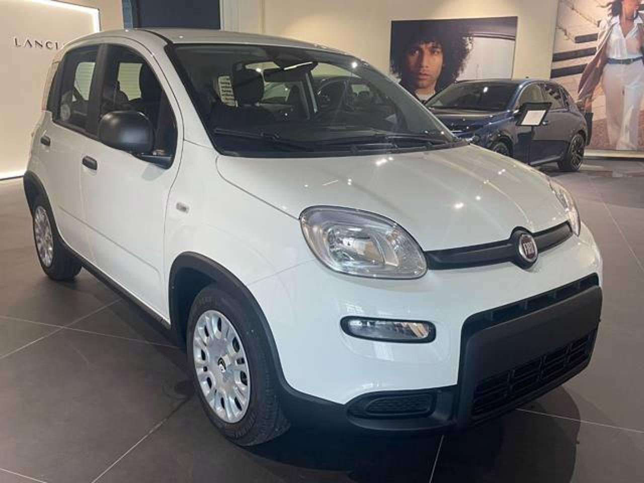 fiat panda panda iii 1.0 firefly hybrid s and s 70cv usata