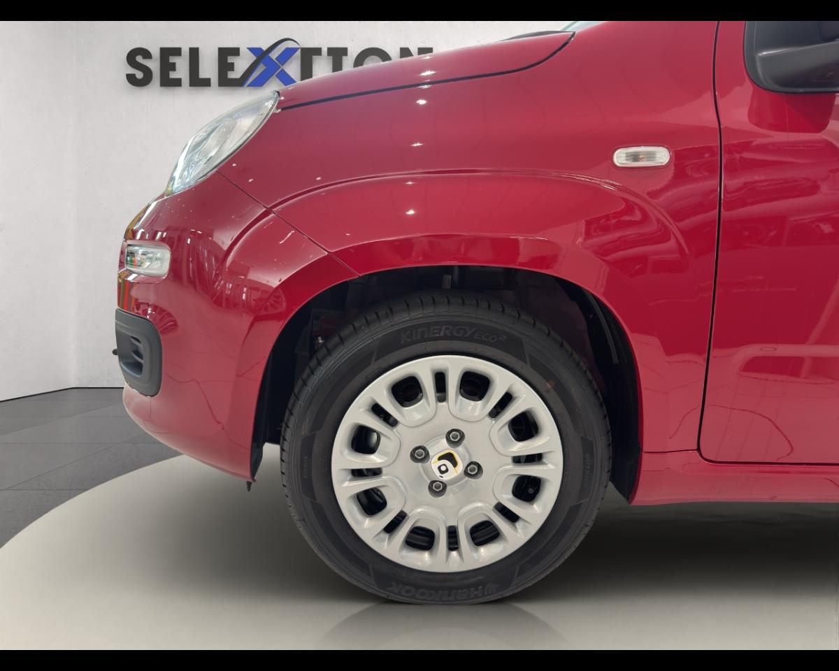 Fiat Fiat Panda usata, con servo sterzo