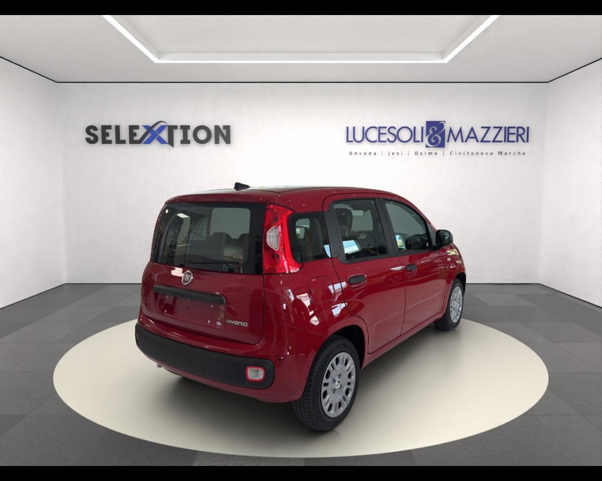 Fiat Fiat Panda usata 13