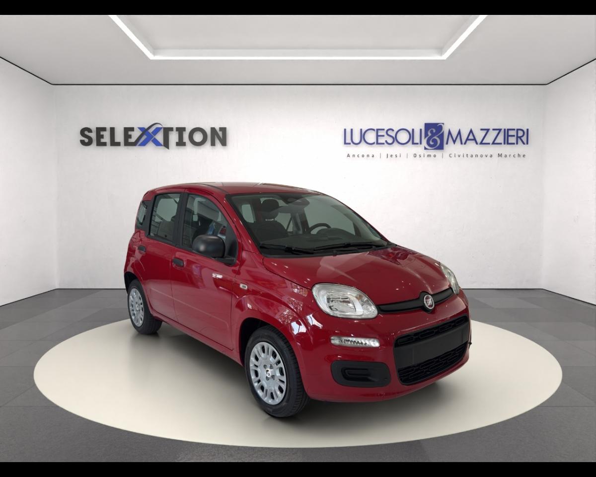 Fiat Fiat Panda usata 14