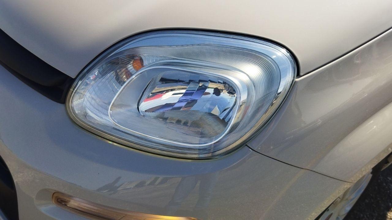 Fiat Fiat Panda usata 5