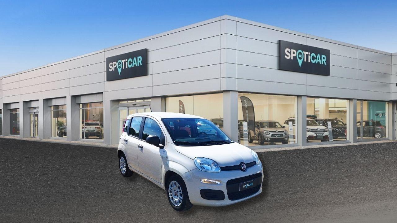 Fiat Fiat Panda usata 12