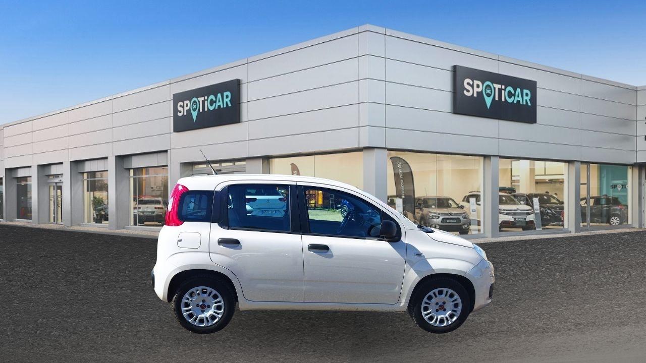 Fiat Fiat Panda usata 13