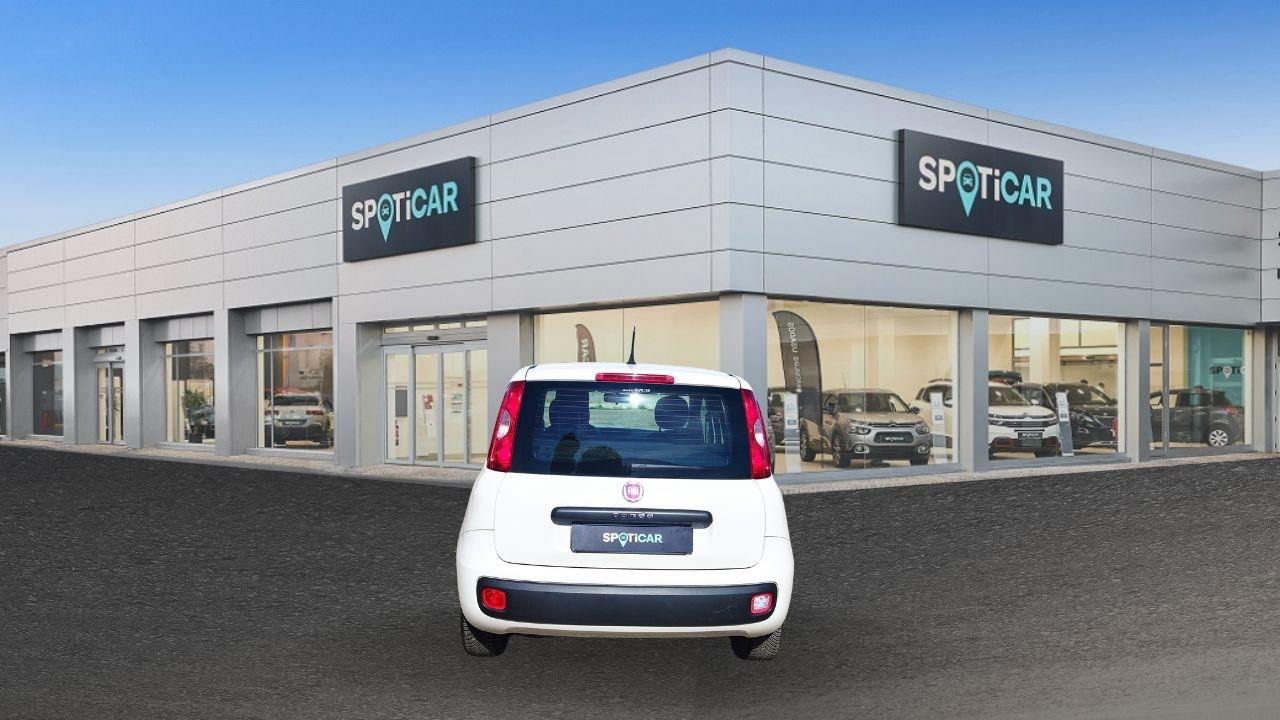 Fiat Fiat Panda usata 14