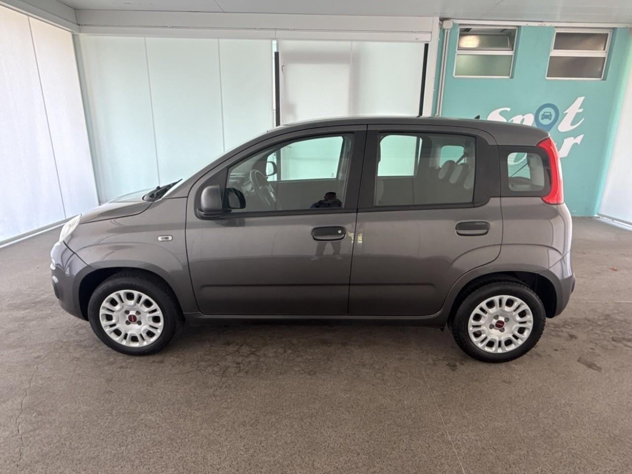 Fiat Fiat Panda usata, con Xenon-led