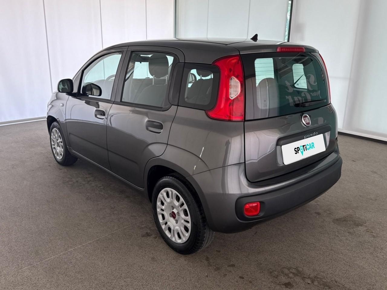 Fiat Fiat Panda usata 17