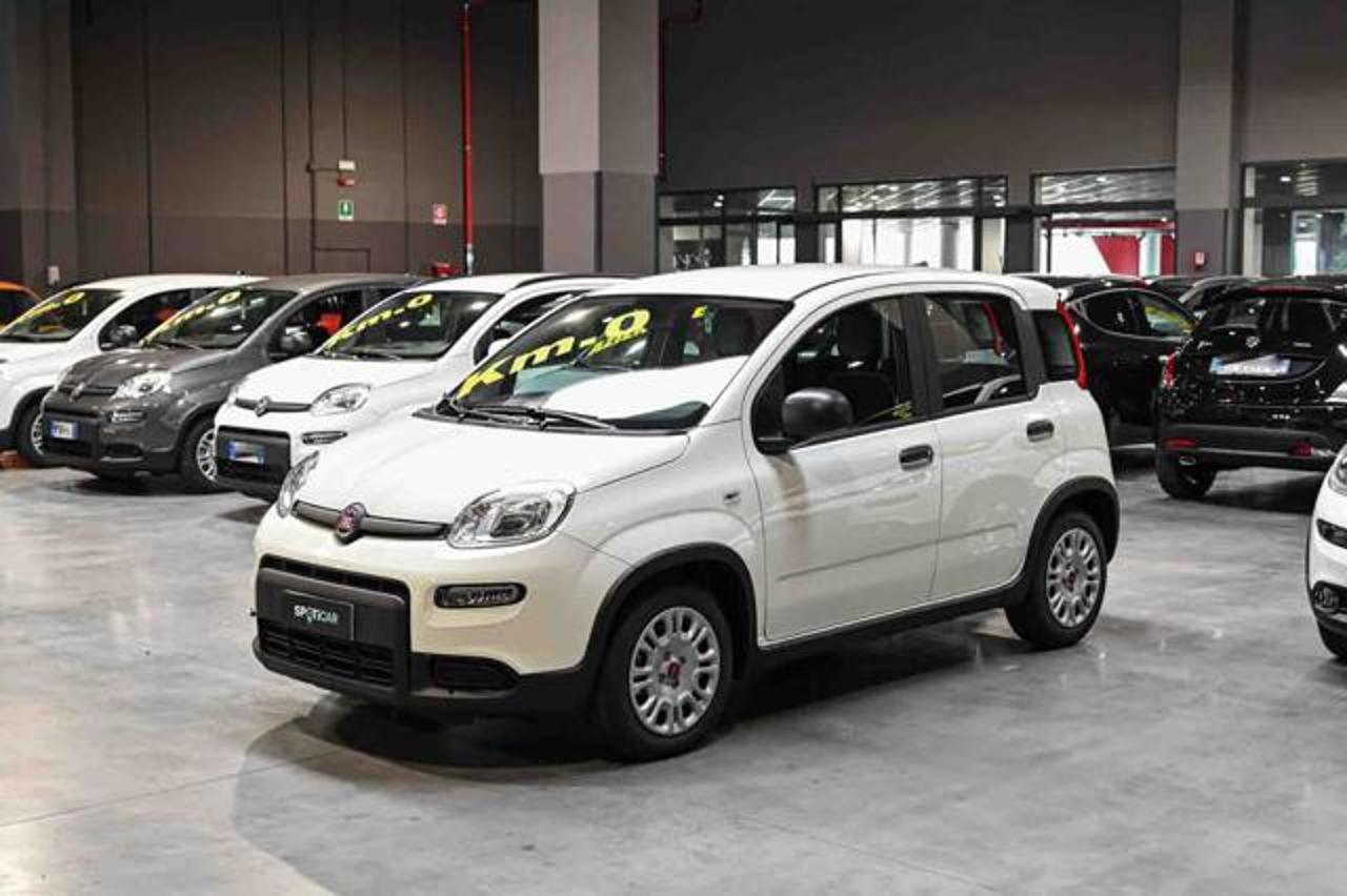 fiat panda panda 1.0 hybrid 70cv usata