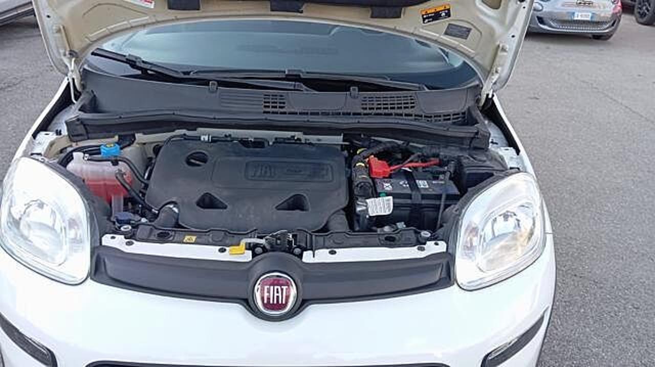 Fiat Fiat Panda usata 10