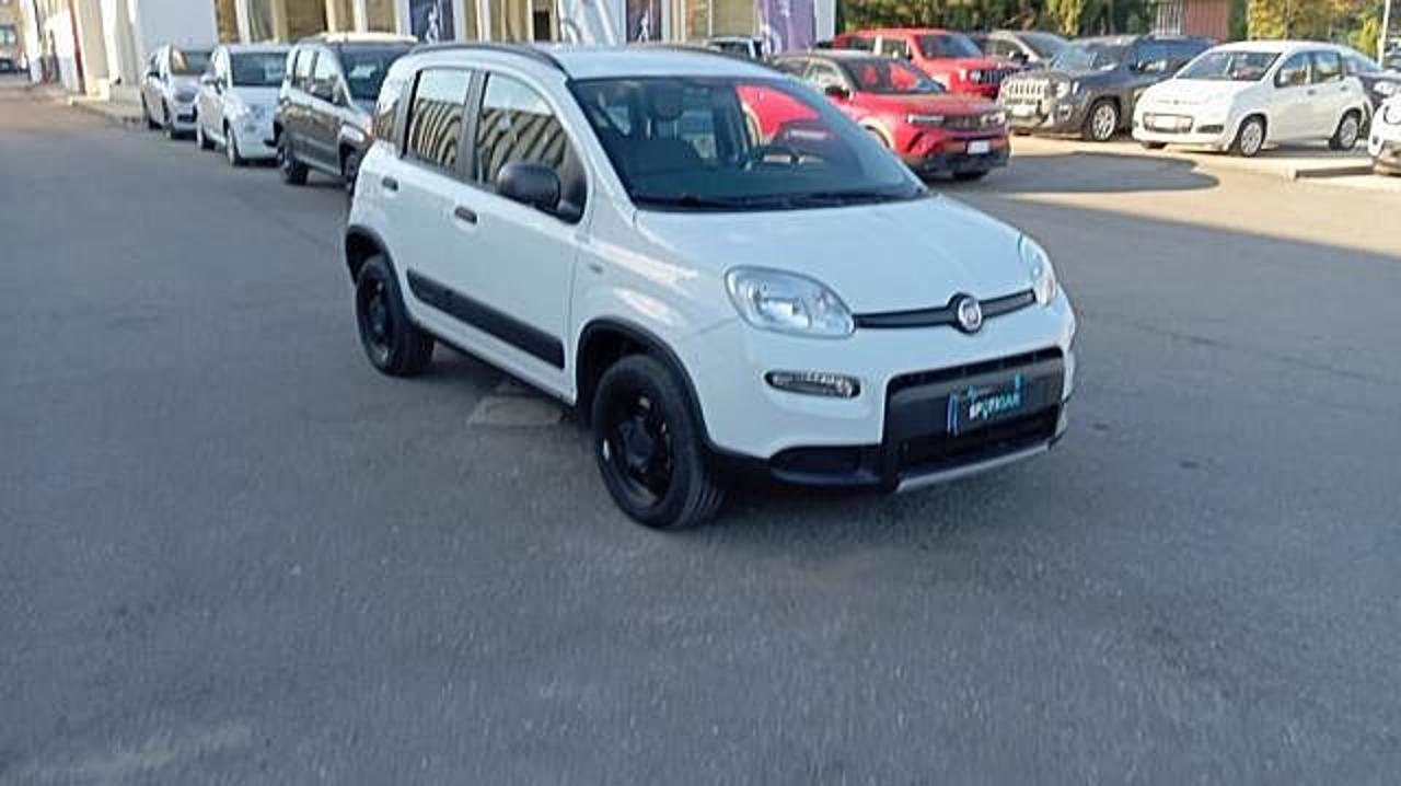 Fiat Fiat Panda usata 18