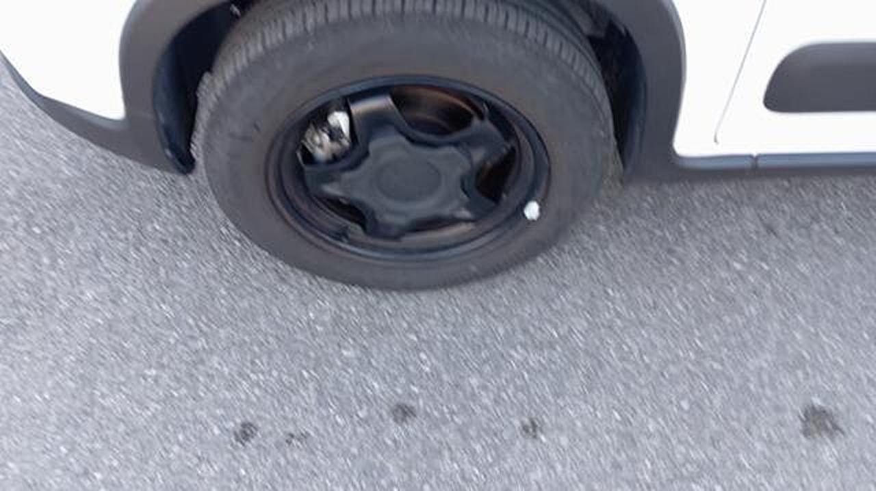 Fiat Fiat Panda usata 24