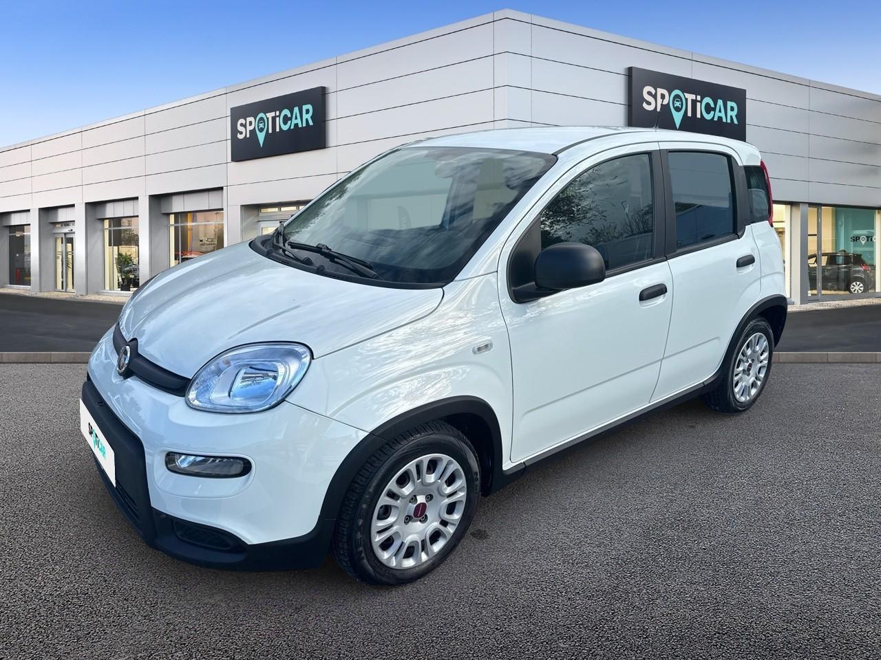 FIAT FIAT PANDA Usato Bianco MILD-HYBRID-PETROL 2024