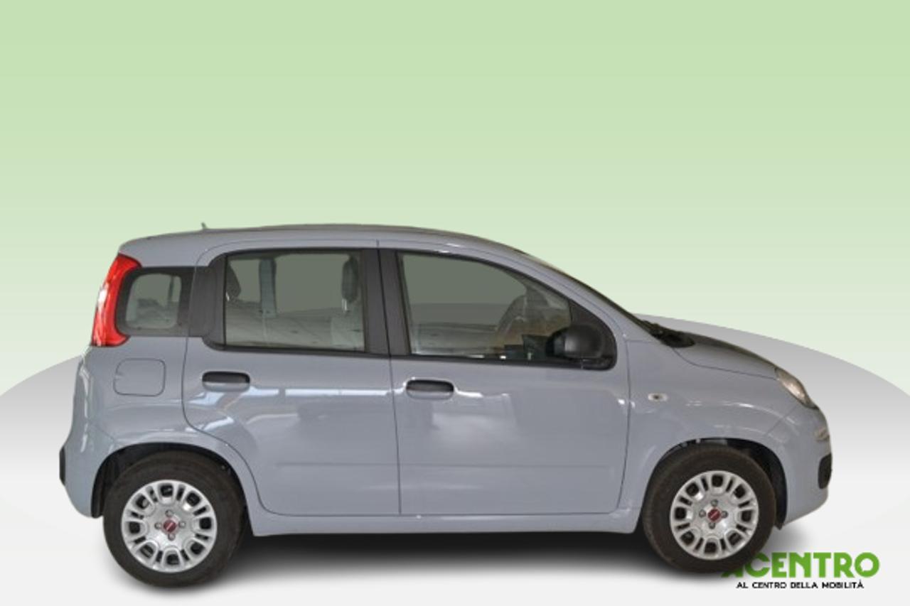 Fiat Fiat Panda usata 9