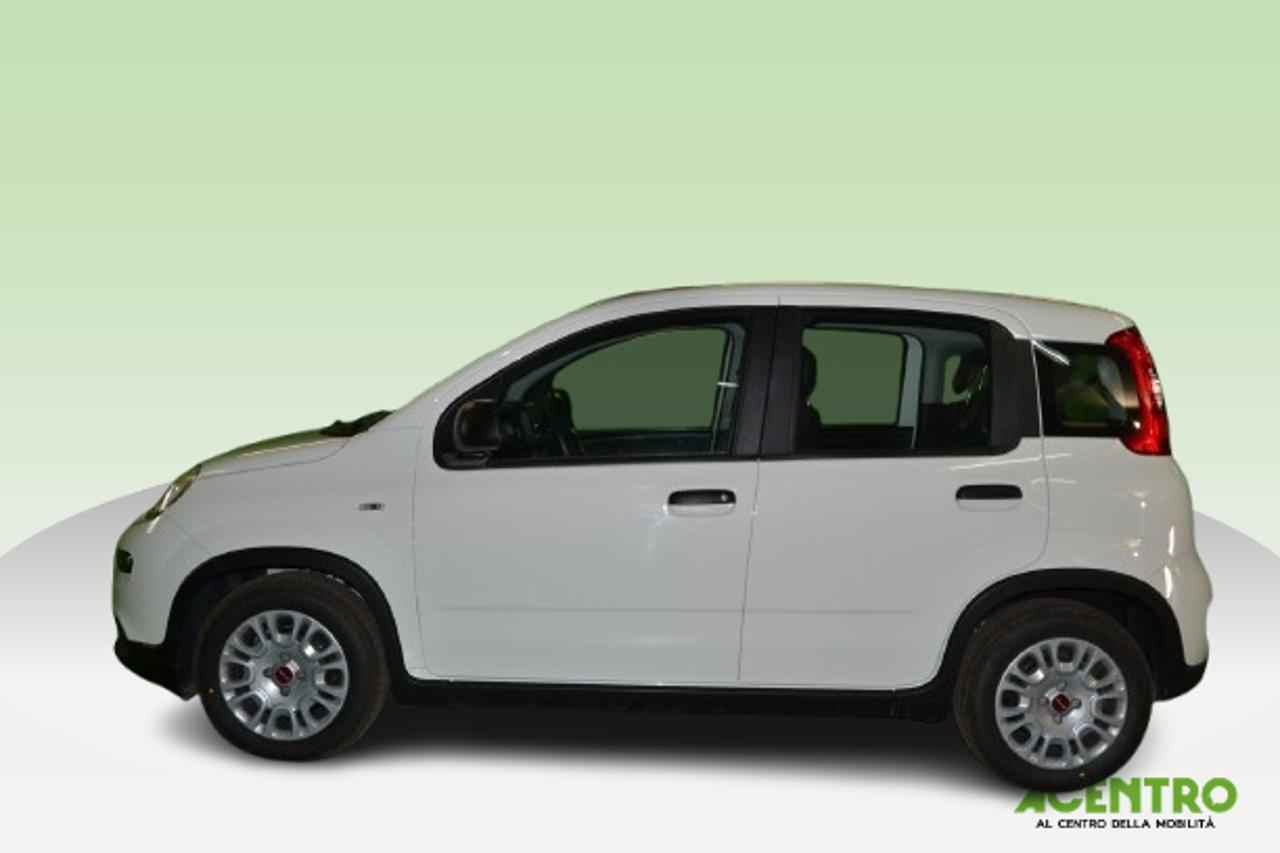 Fiat Fiat Panda usata 9