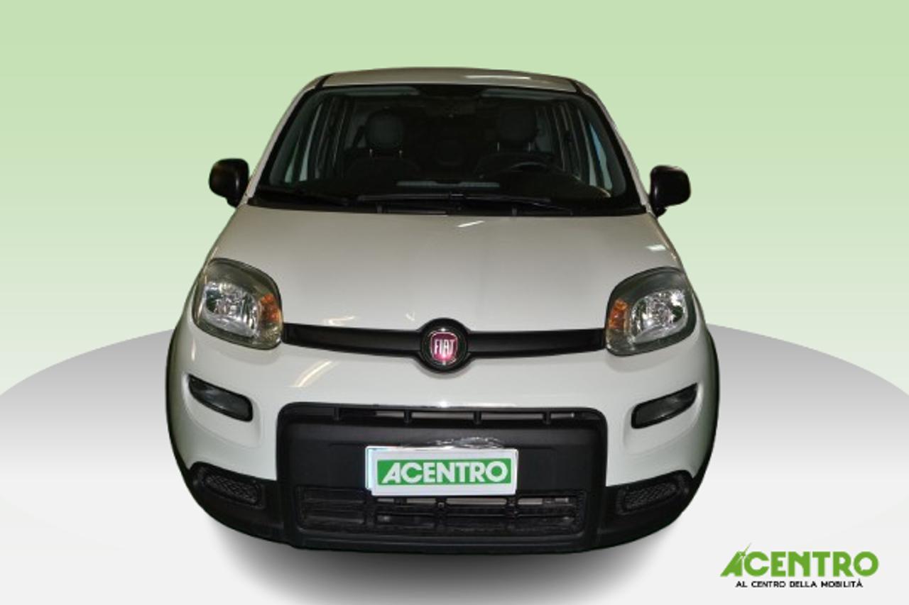 Fiat Fiat Panda usata 10
