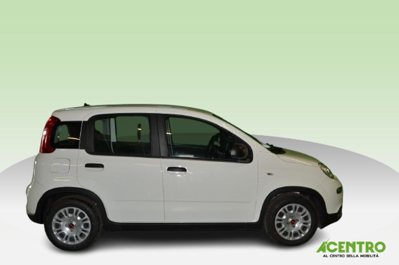 Fiat Fiat Panda usata 12