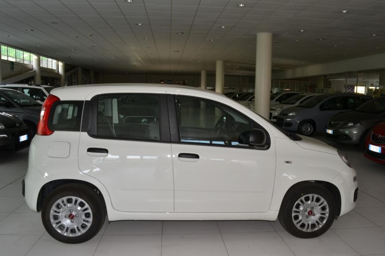 Fiat Fiat Panda usata 18