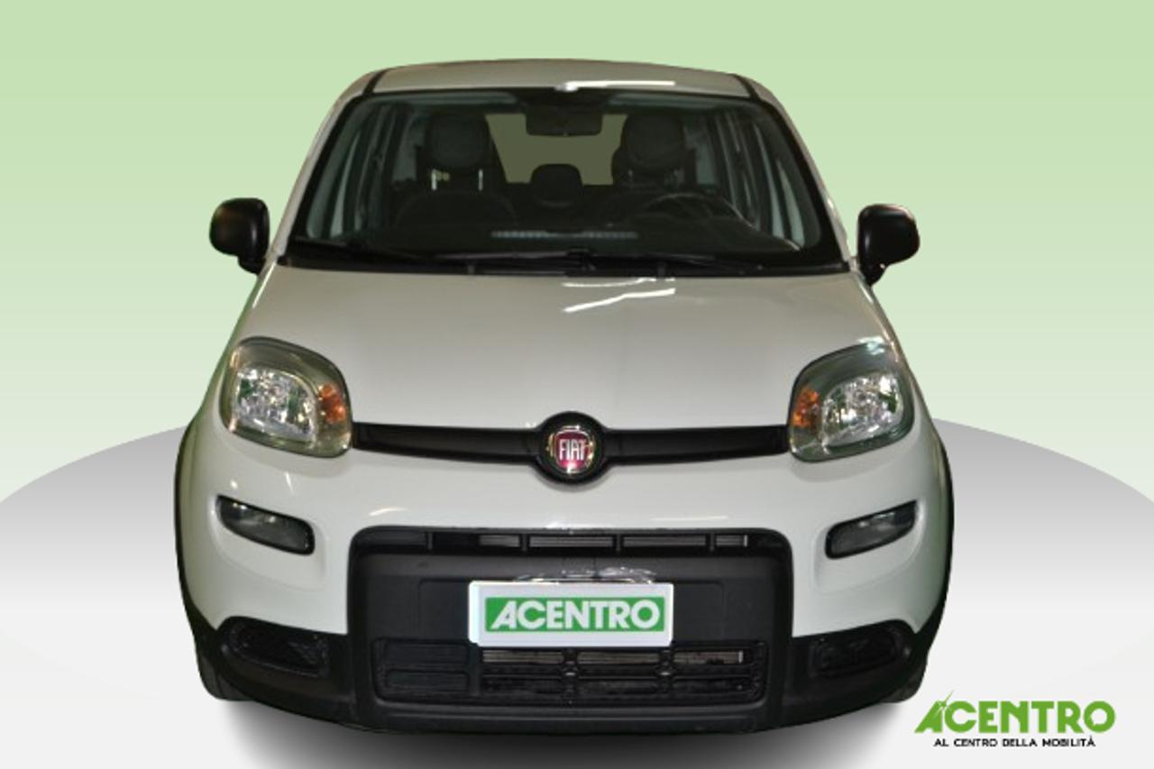 Fiat Fiat Panda usata 12