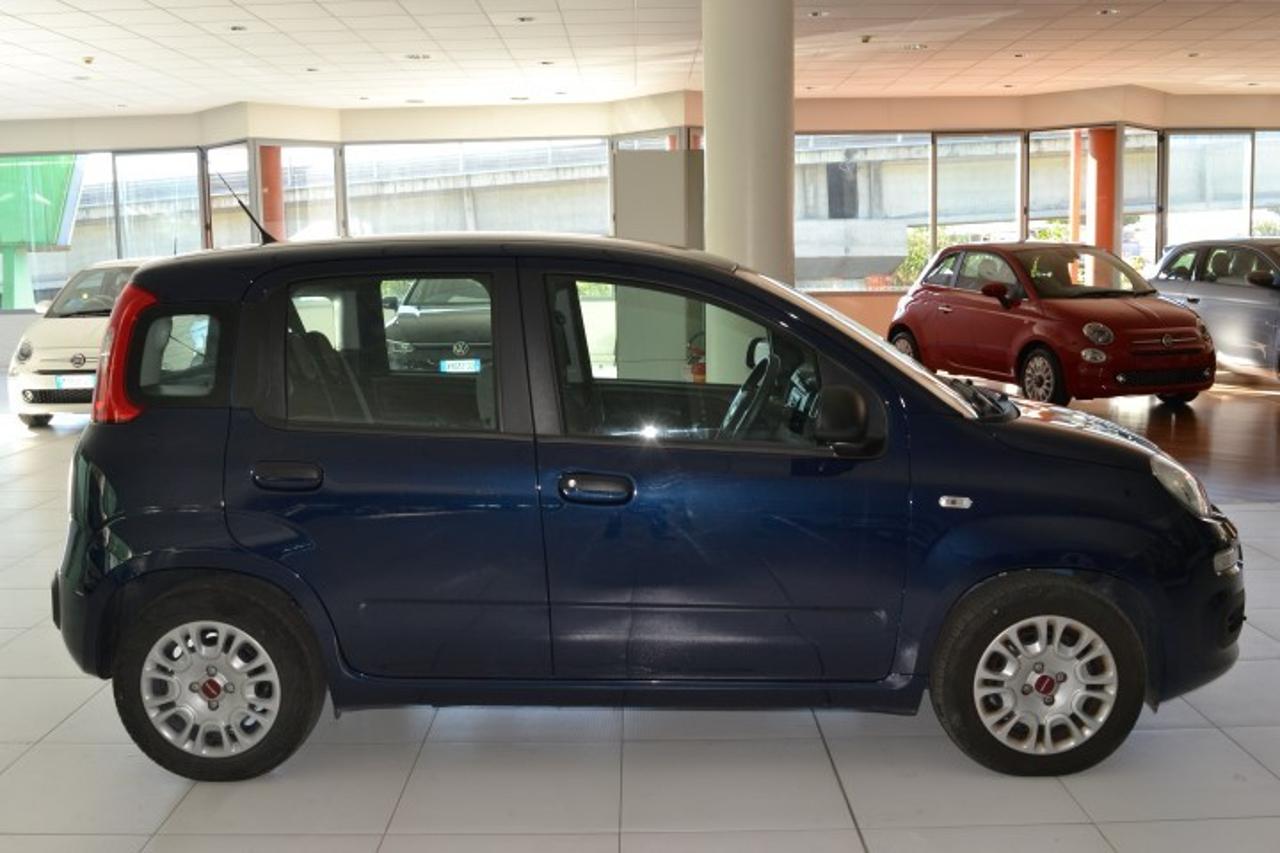 Fiat Fiat Panda usata 18