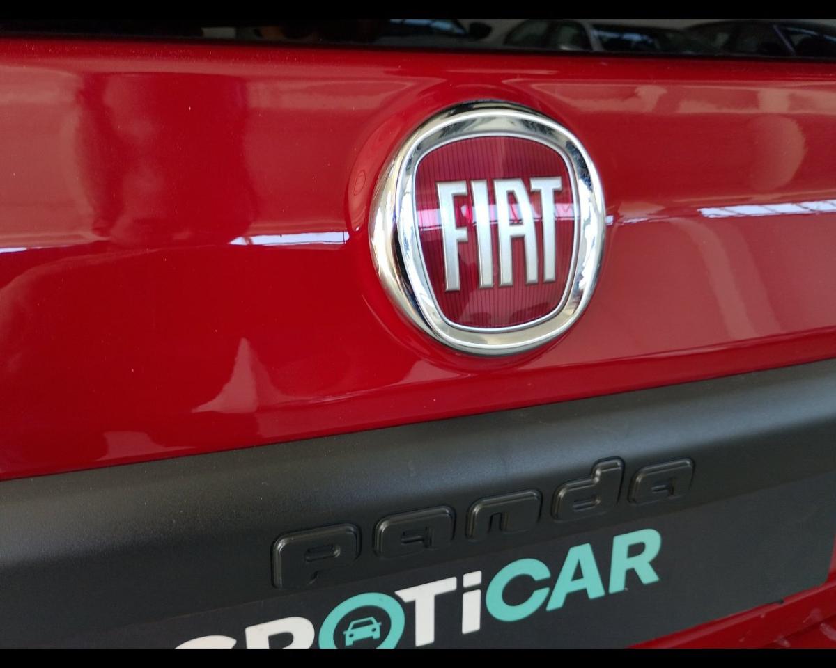 Fiat Fiat Panda usata 14