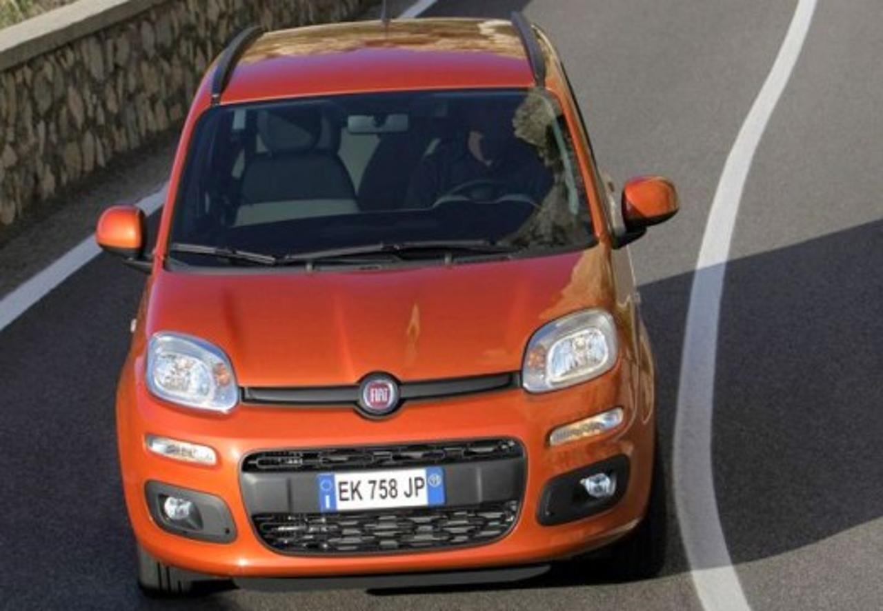 Fiat Fiat Panda usata 14