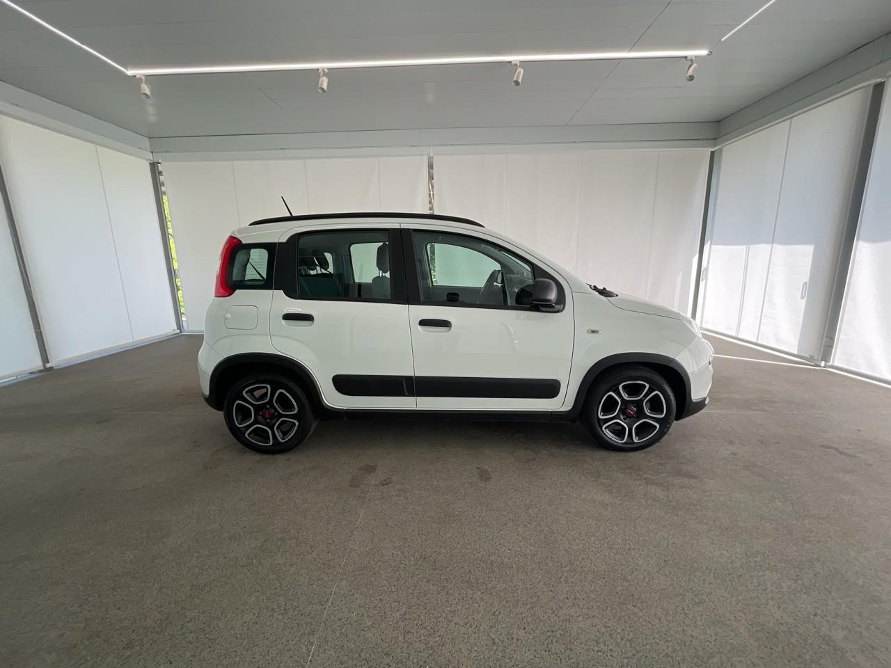 Fiat Fiat Panda usata, con cinture sicurezza post. conducente e passeggero